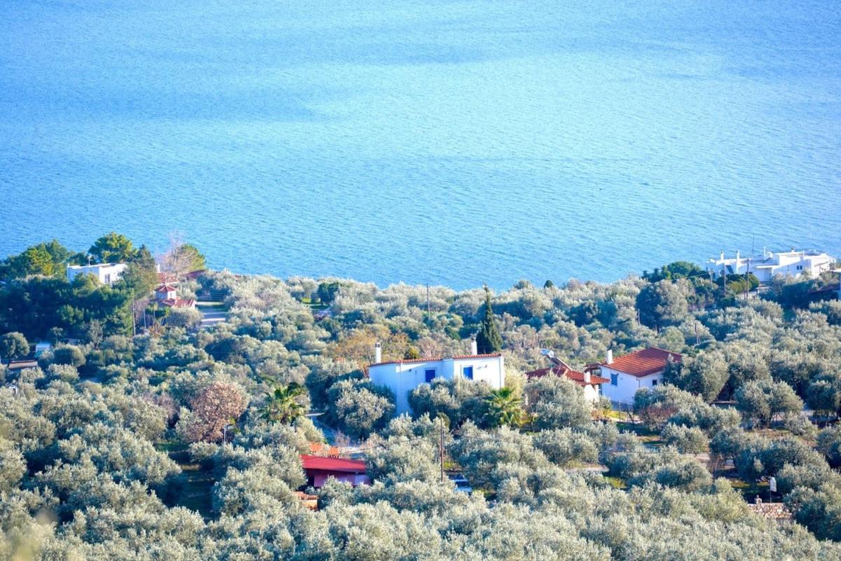 Four Independence Houses By The Sea Глифа Экстерьер фото